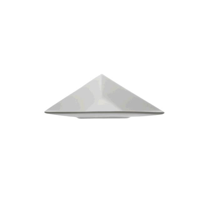 Rental store for PLATE TID BIT TRIANGLE 5 in Tacoma WA