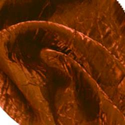 Rental store for IRIDESCENT CRUSH - COPPER GOLD in Tacoma WA