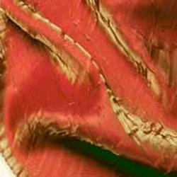 Rental store for IRIDESCENT CRUSH - SUNSET ORANGE in Tacoma WA